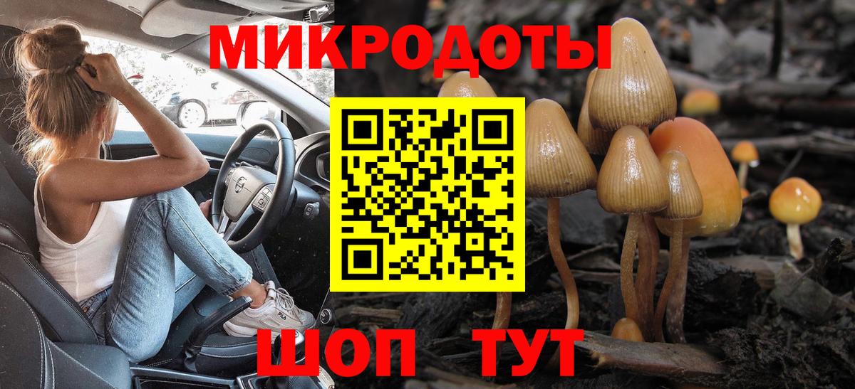 Галлюциногенные грибы мухоморы  Псилоцибиновые грибы прущие грибы  Ногинск  Вход с VPN 