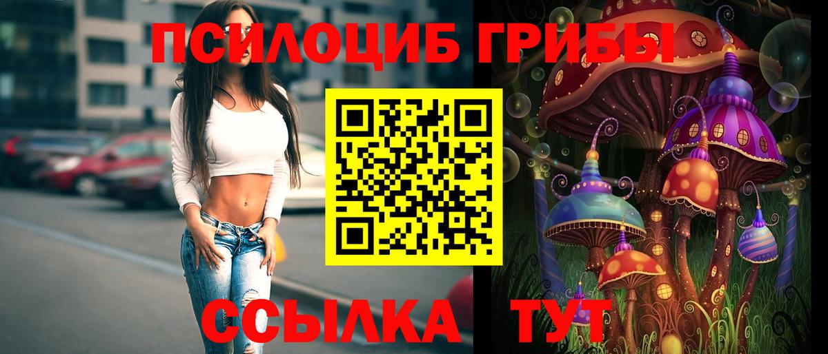 Псилоцибиновые грибы Magic Shrooms Ногинск